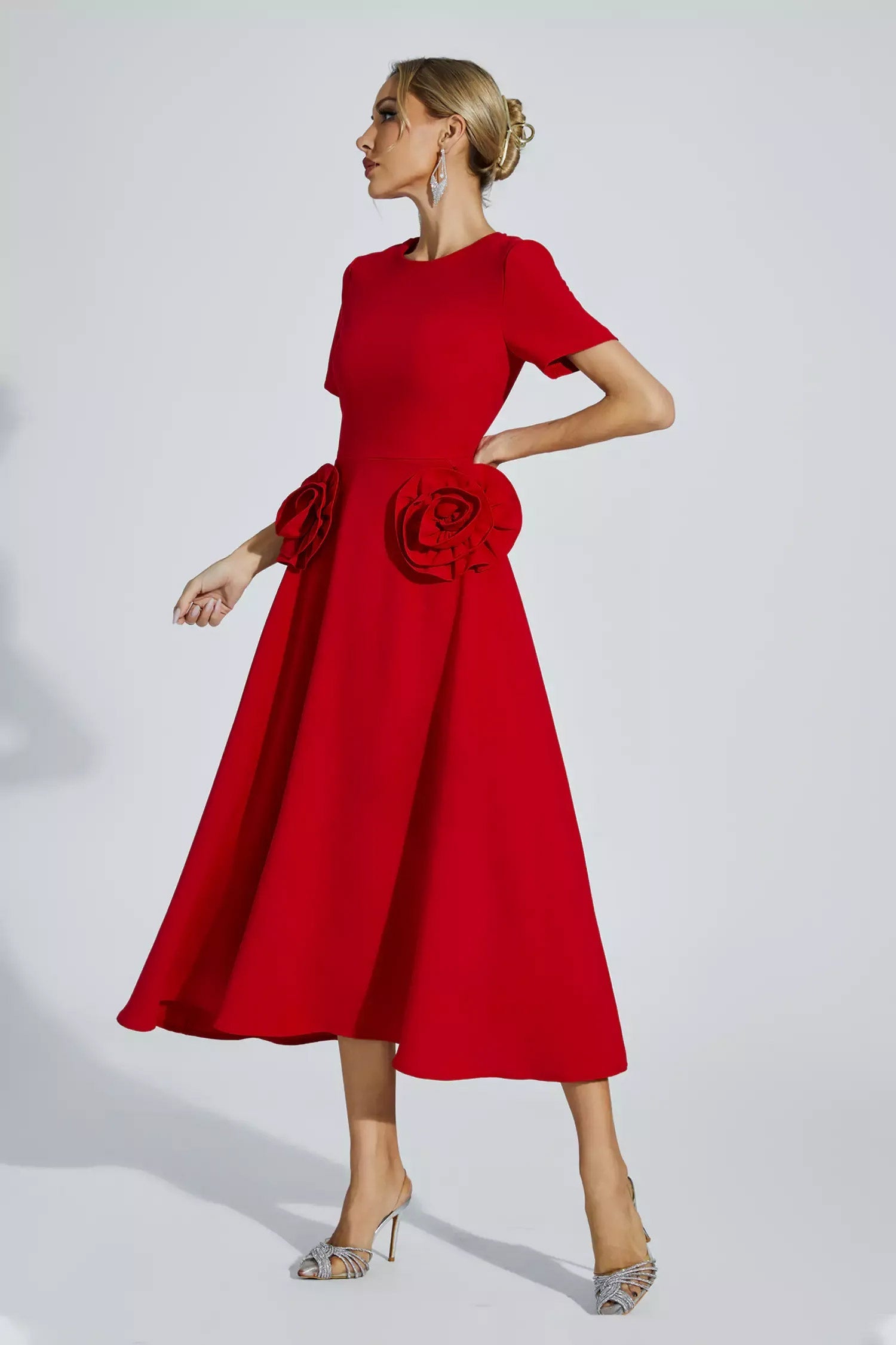 Grace Floral Appliqué Dress